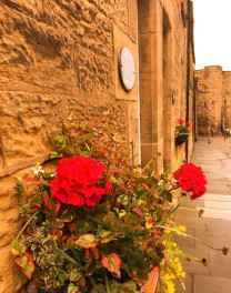 Beautiful Traditional Juliet Cottage