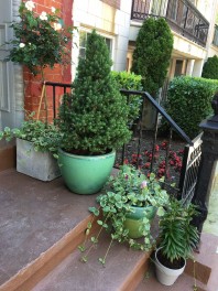 Private 3BR apartment in prime Park Slope, Brooklyn. Beautifully renovated!