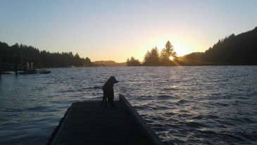 Dog Friendly Home on the Alsea River w/ Private Boat Dock