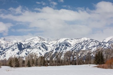 The Cabins at Jackson Hole Golf and Tennis DOG FRIENDLY w fee...