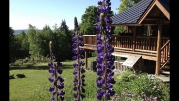 Vermont Log Home…