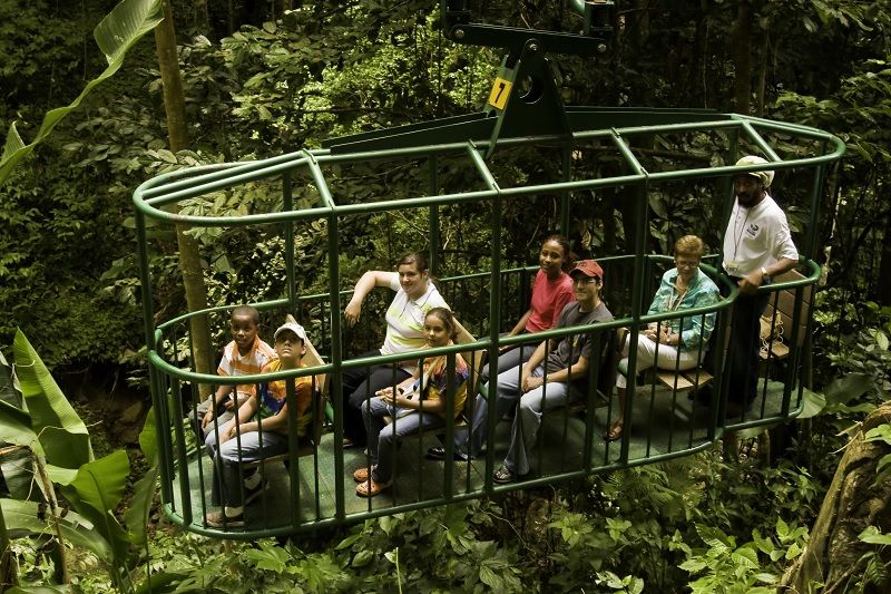 Rainforest Adventures Aerial Tram Tour