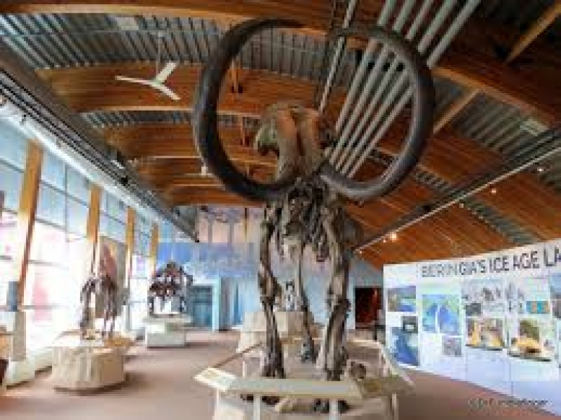 Yukon Beringia Interpretive Center