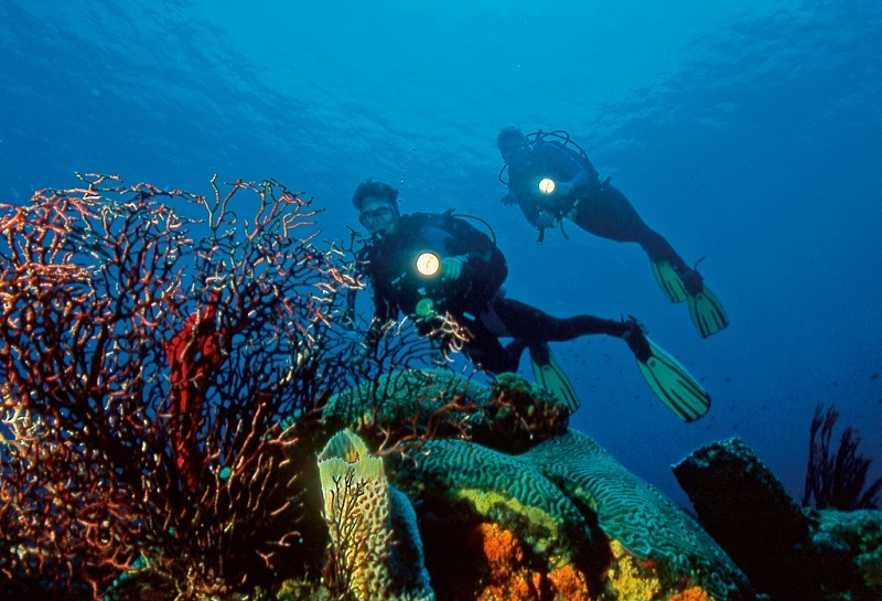 St Lucia Certified Scuba Diving Tour