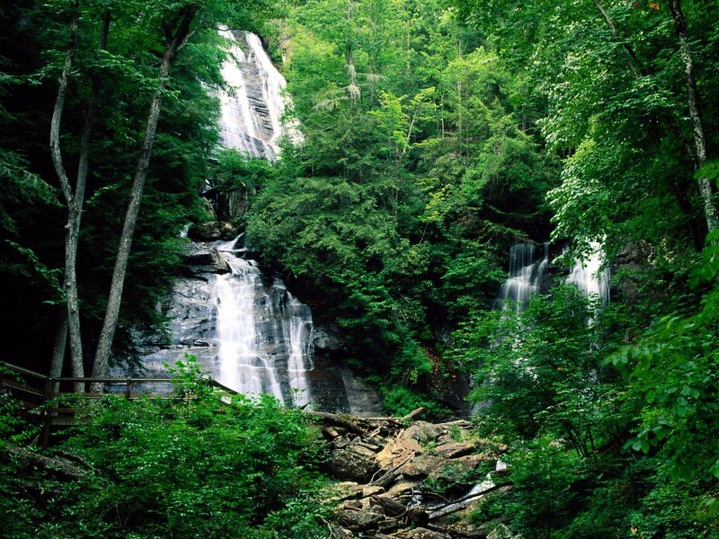 Chattahoochee National Forest