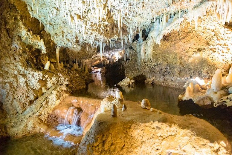 Harrison's Cave and Atlantis Submarine Dive Tour