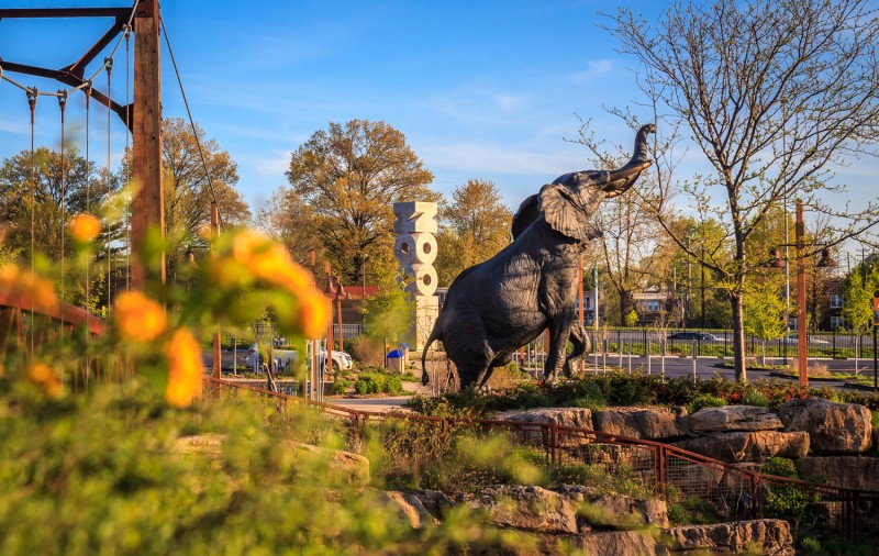 St. Louis Zoo