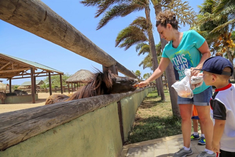 Philip's Animal Garden