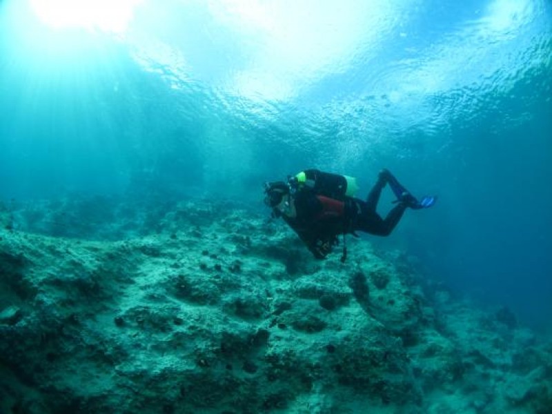 Seahorse Dive Center