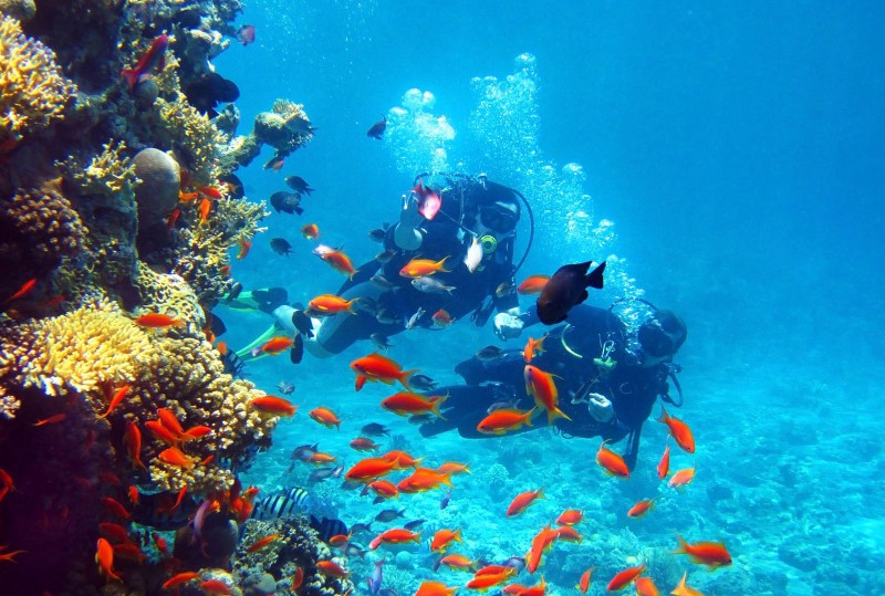 Scuba diving