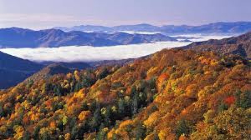 The Smokies: The Great Smoky Mountains National Park