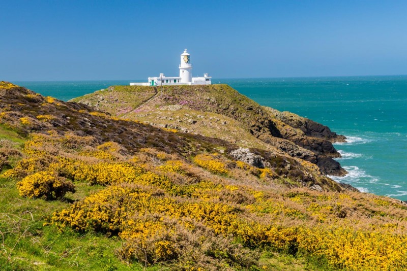 Strumble Head