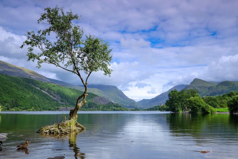 Llyn Padarn