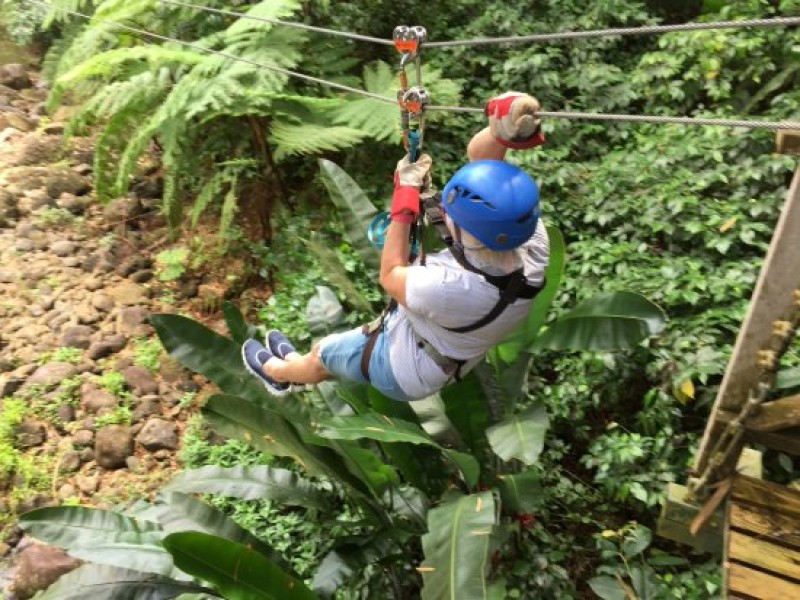 Treetop Adventure Park Canopy Tour