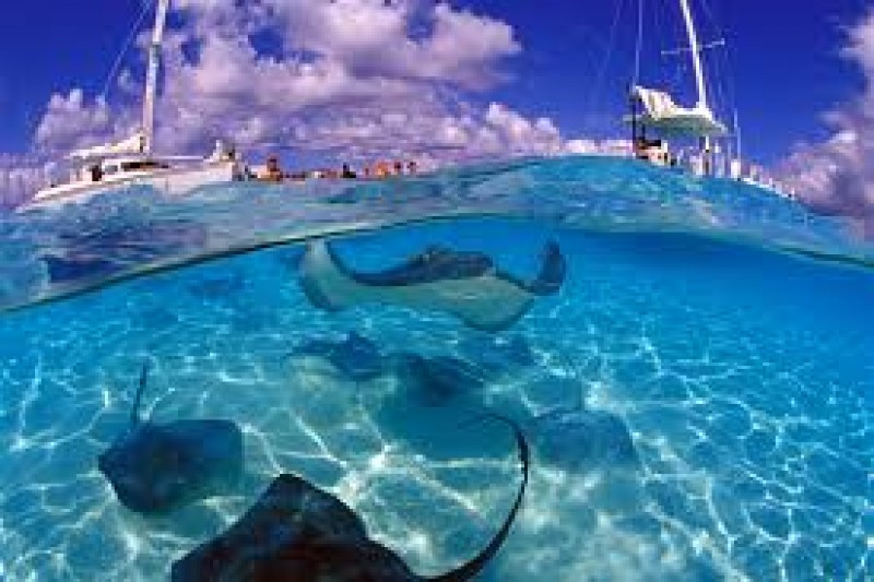 The Cayman Islands