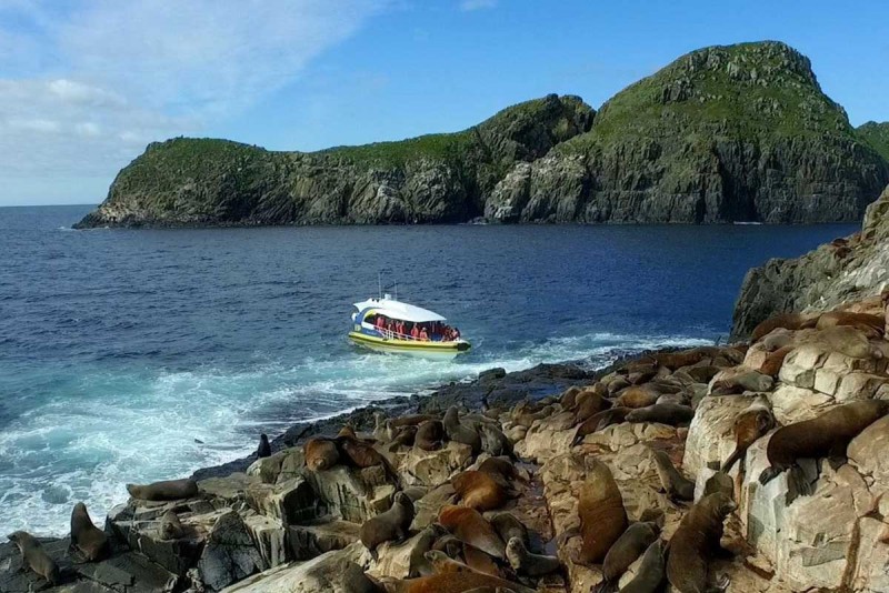 Bruny Island