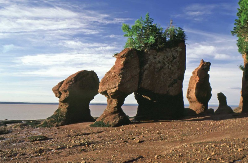 Bay of Fundy and Fundy National Park