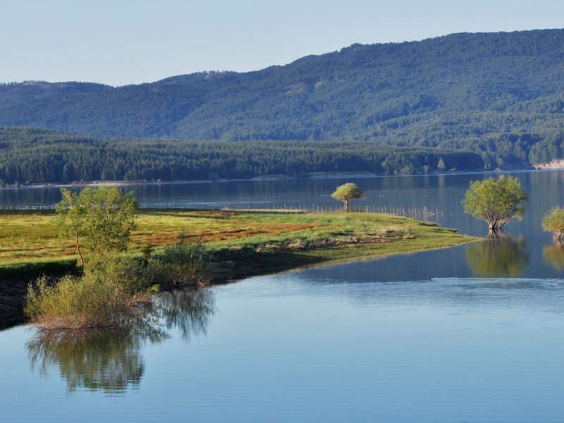 Lago Arvo