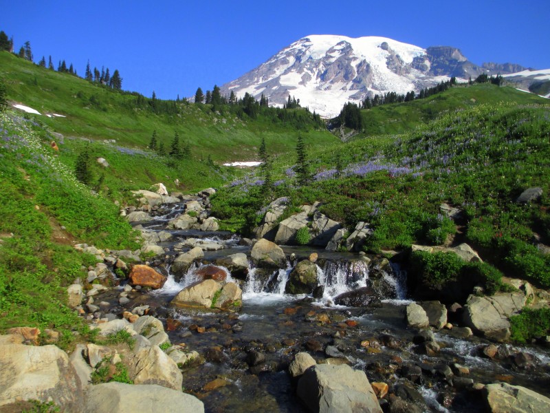 Mount Rainier National Park