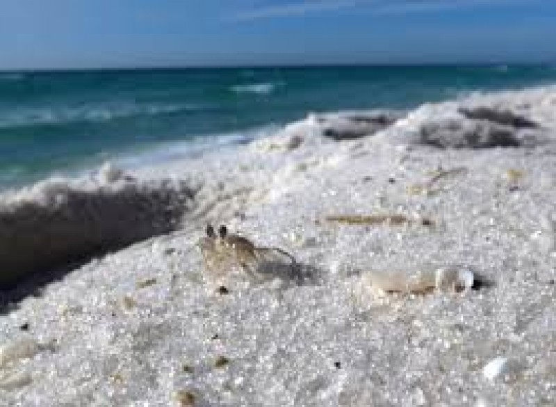 Gulf Islands National Seashore