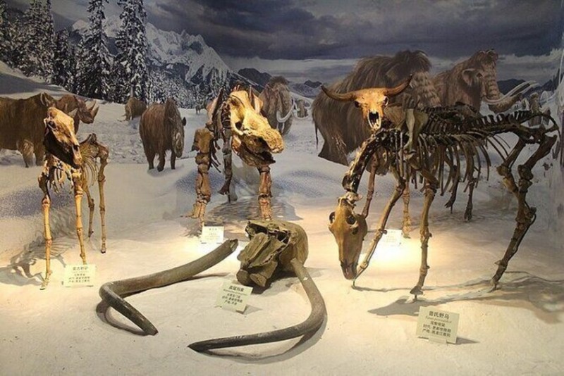 Great Northern PA Ice Age Journey