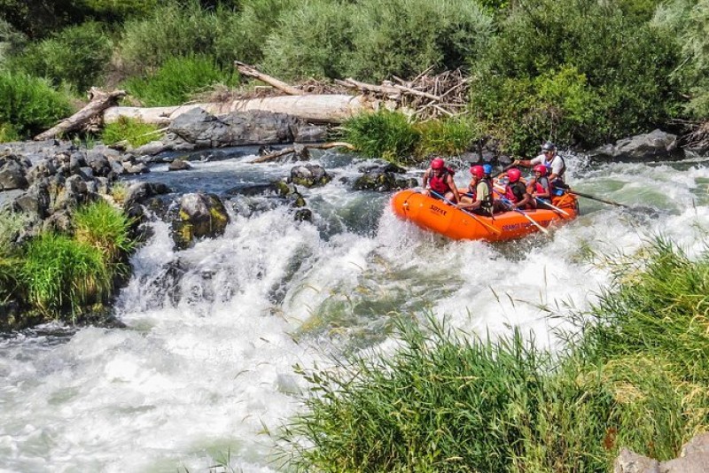 Whitewater Rapids