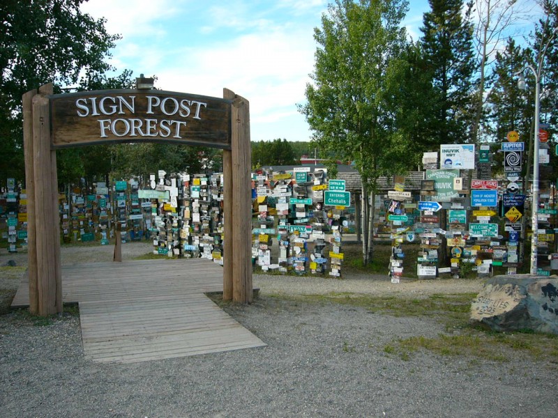 Sign Post Forest