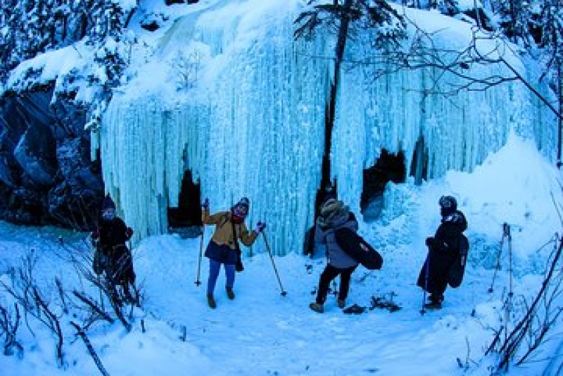 Yellowknife Snowshoeing Tour