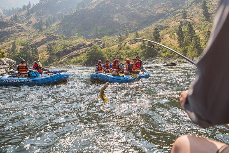 Whitewater Rafting