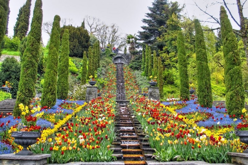 Insel Mainau: The Flower Island of Lake Constance