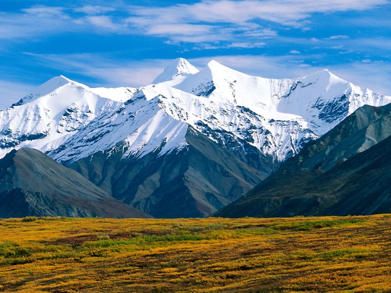 Denali National Park