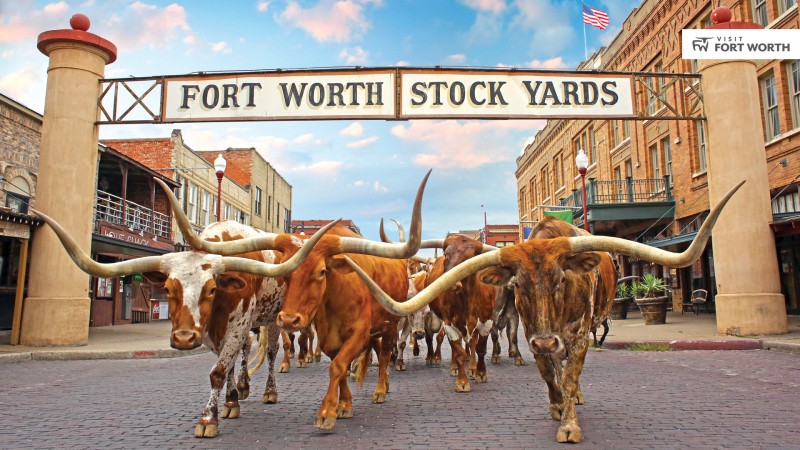 The Fort Worth Stockyards