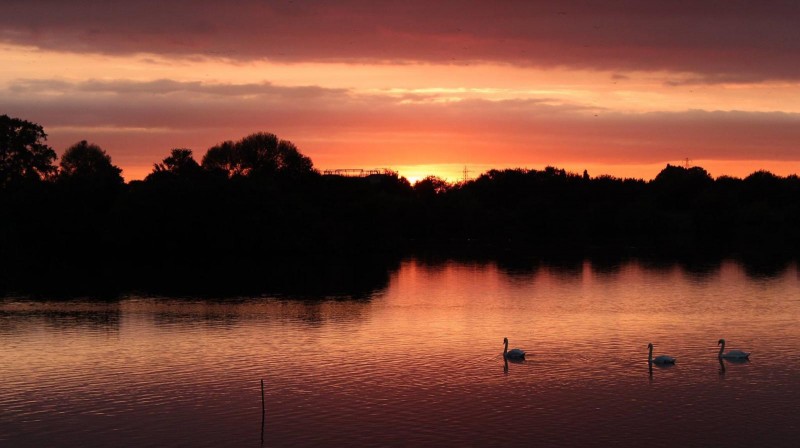 Attenborough Nature Reserve