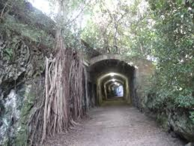 Bermuda Railway Trail