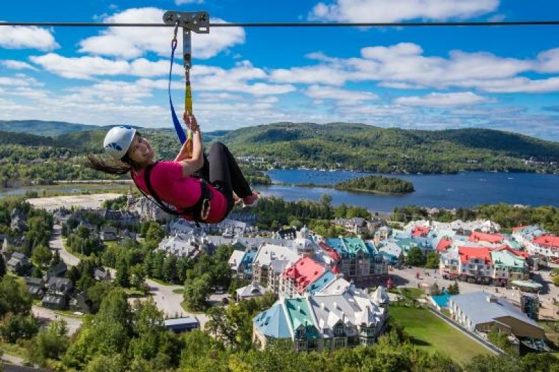 Guided Zipline Tour