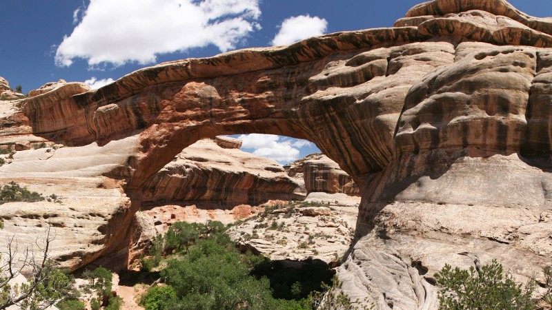 Natural Bridges National Monument