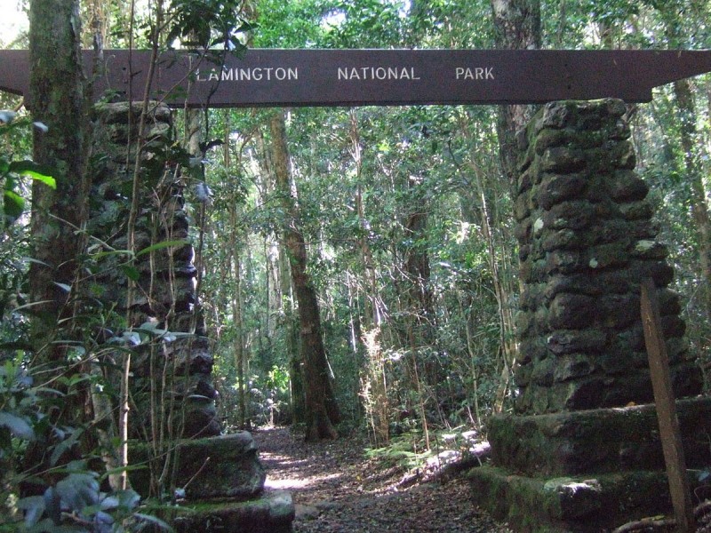 Lamington National Park