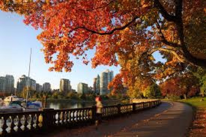 Vancouver's Stanley Park