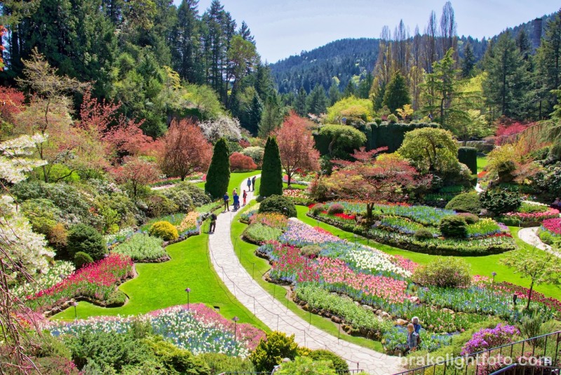 Butchart Gardens