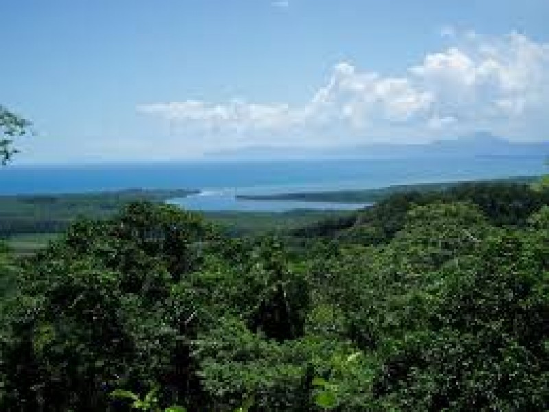 Take a Safari through Daintree National Park and Cape Tribulation