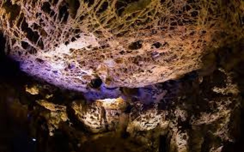 Wind Cave National Park