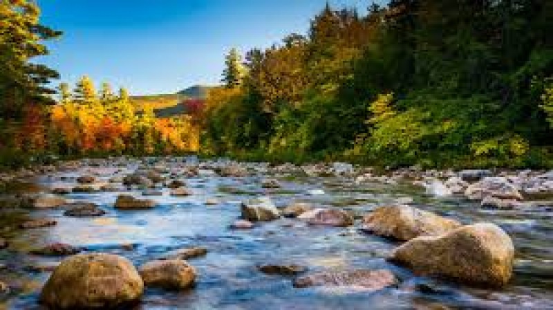 Kancamagus Highway and White Mountain National Forest