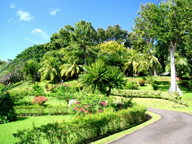 St. Vincent Botanical Gardens