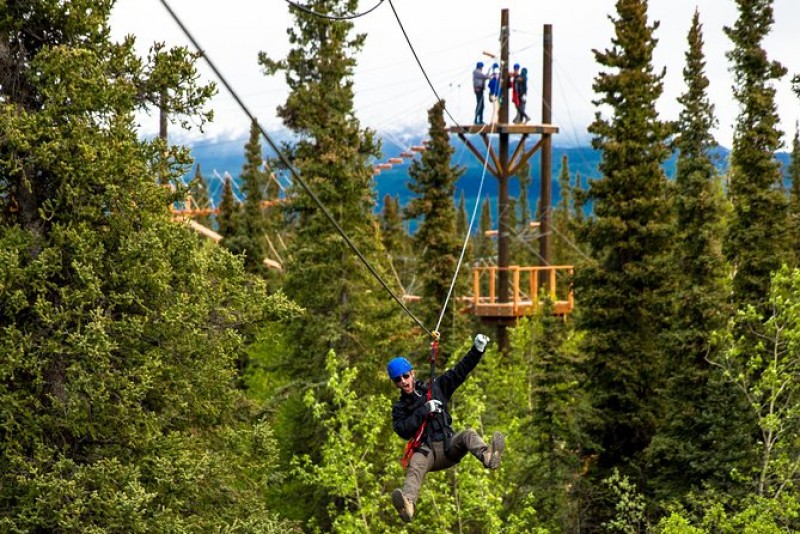 Denali Park Zipline Adventure