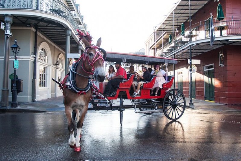 New Orleans Small-Group Haunted History Carriage Tour