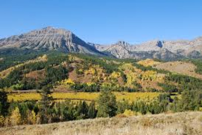 Bridger-Teton National Forest