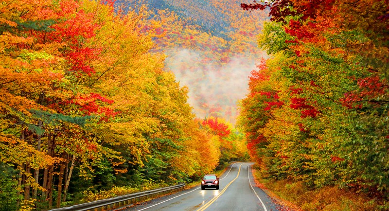 Fall Foliage Drives