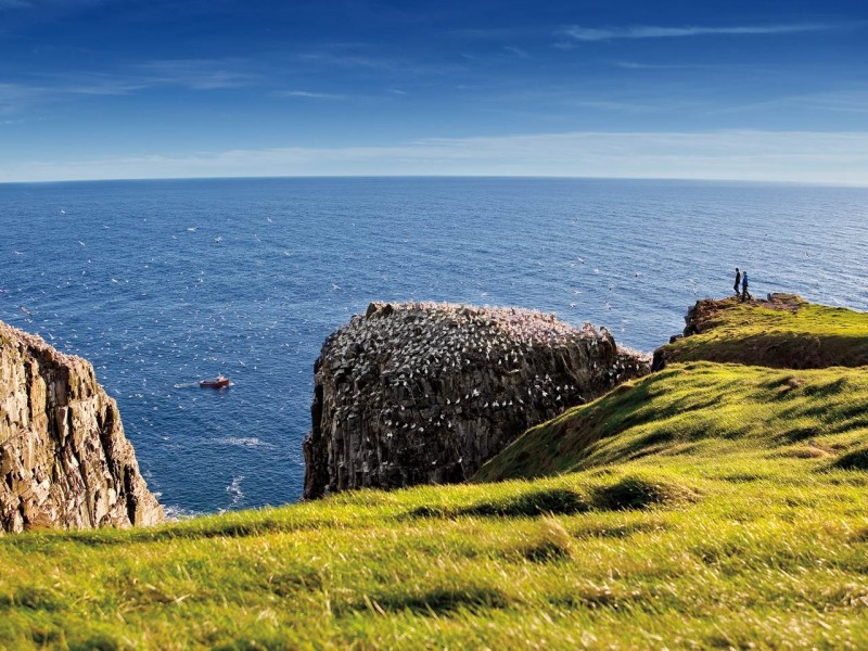 Cape St. Mary's Ecological Reserve