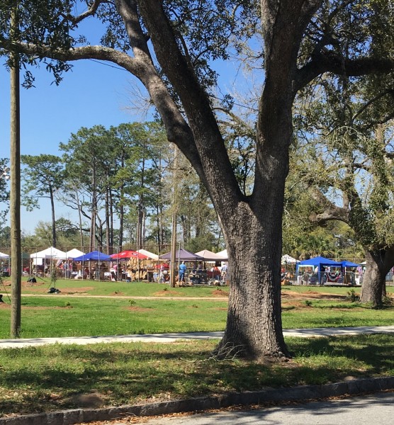 Tift Park Community Market