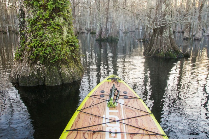 Chicot Lake Paddle Trail